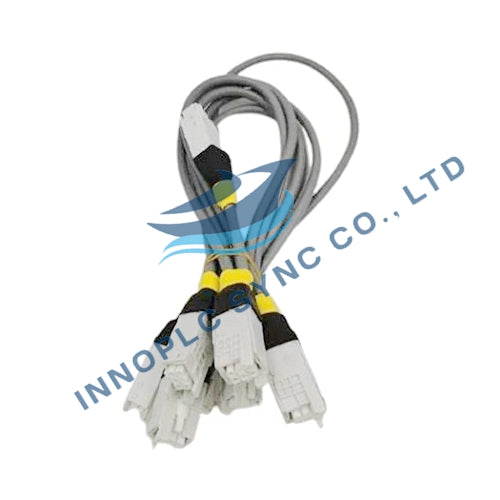 Honeywell | 51202971-100 | Cabo de ligação de E/S