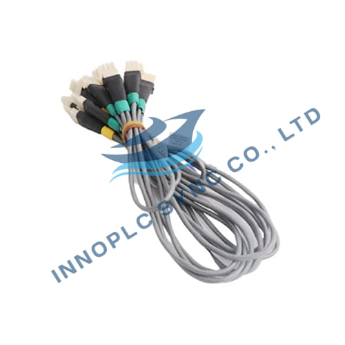 Honeywell | 51202971-100 | Cabo de ligação de E/S