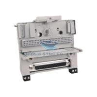 واحد پایه ترمینال ورودی/خروجی Allen-Bradley 1794-TB62DS