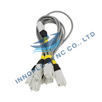 Honeywell | 51202971-100 | Cabo de ligação de E/S