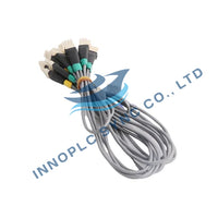 Honeywell | 51202971-100 | Cabo de ligação de E/S