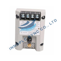 Bently Nevada | 990-10-XX-01-00 | 2 Telli Titreşim Verici