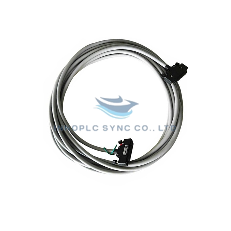 Yokogawa KS1-20 Signal Cable